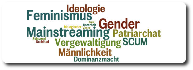 NICHT-Feminist - Feminismus, Ideologie, Gender Mainstreaming - Vergewaltigung