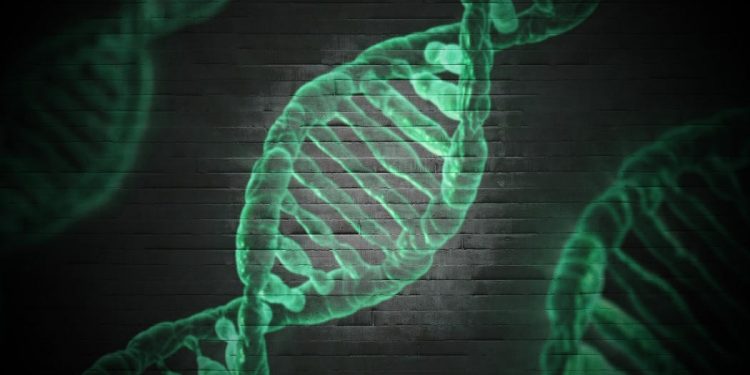 DNA - Faktum Magazin